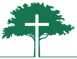 Logo IEC Santo Amaro
